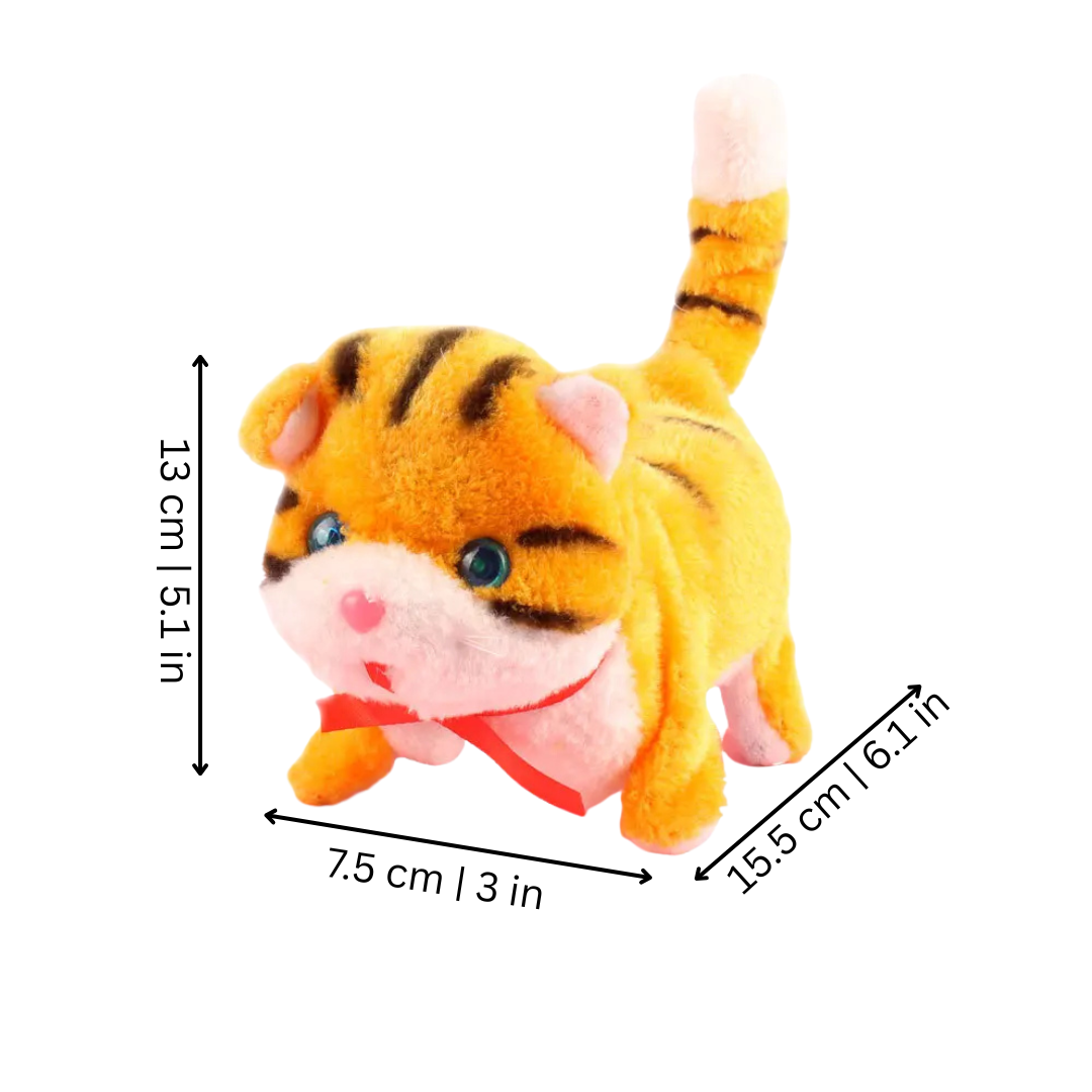 KotDźwiękCud