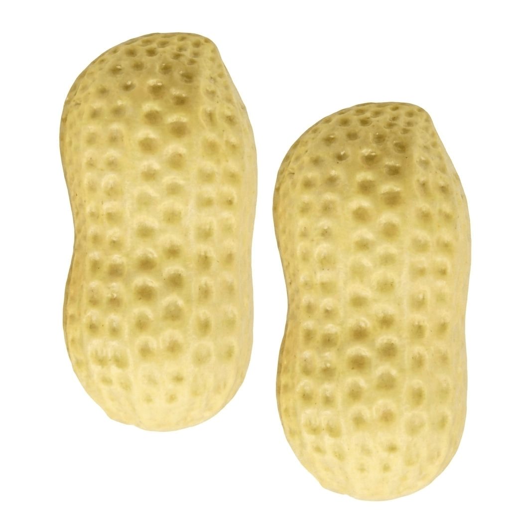 MiękkiOrzeszek