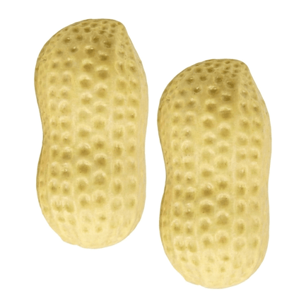MiękkiOrzeszek